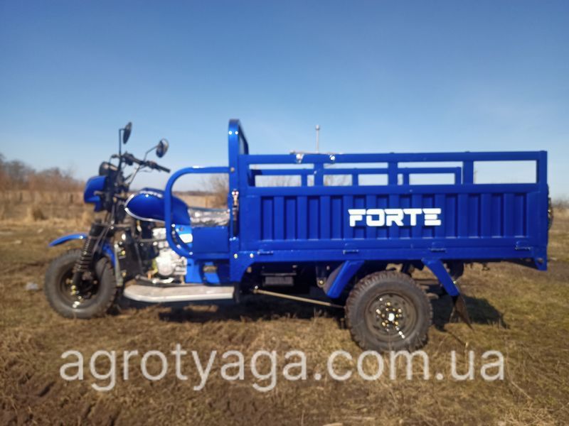 Грузовой бензиновый трицикл Forte CT-252 ФОРТЕ 2682981549 фото