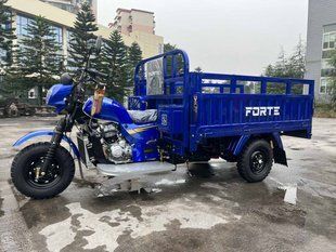 Трицикл вантажний бензиновий FORTE CT-302 H (ATV300ZH-T) з гідравлікою 2683040864-1 фото