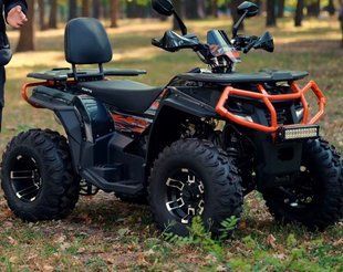 Двухместный квадроцикл FORTE AFC-250 PRO (ФОРТЕ) 2666388337 фото