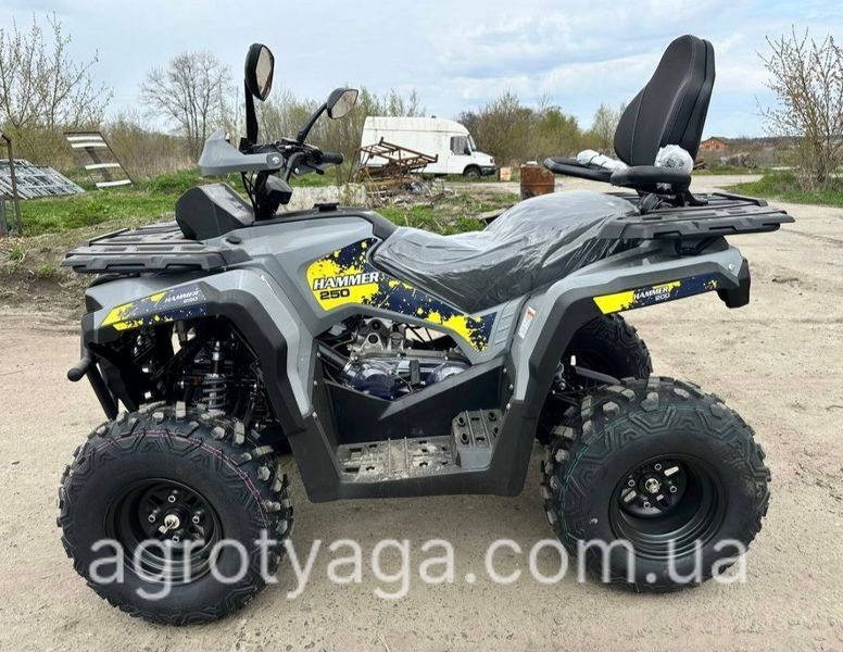 Квадроцикл Mikilon Hammer 250 L (U 038) длинная база (Микилон Хамер) 111116 фото